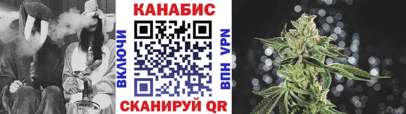 Каннабис OG Kush Сунжа