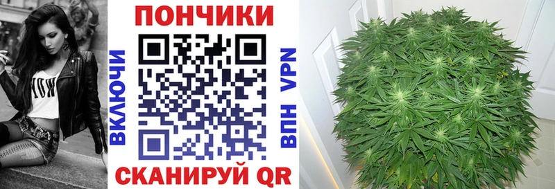 Купить где Сунжа Конопля OG Kush